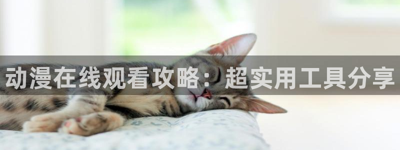 行业资讯